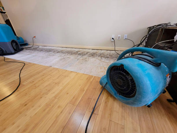 Professional Basement Flood Cleanup technician working in Dow, IL