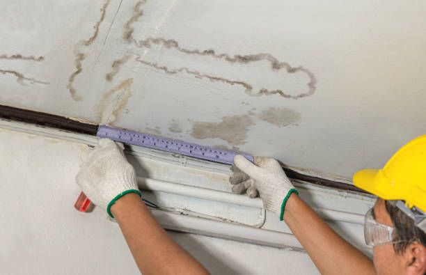 Affordable Basement Flood Cleanup solutions in Dow, IL